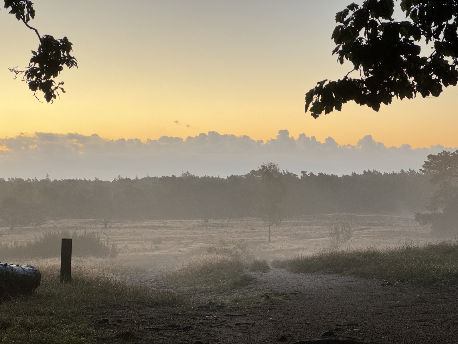 Een pad over de hei in de mist
