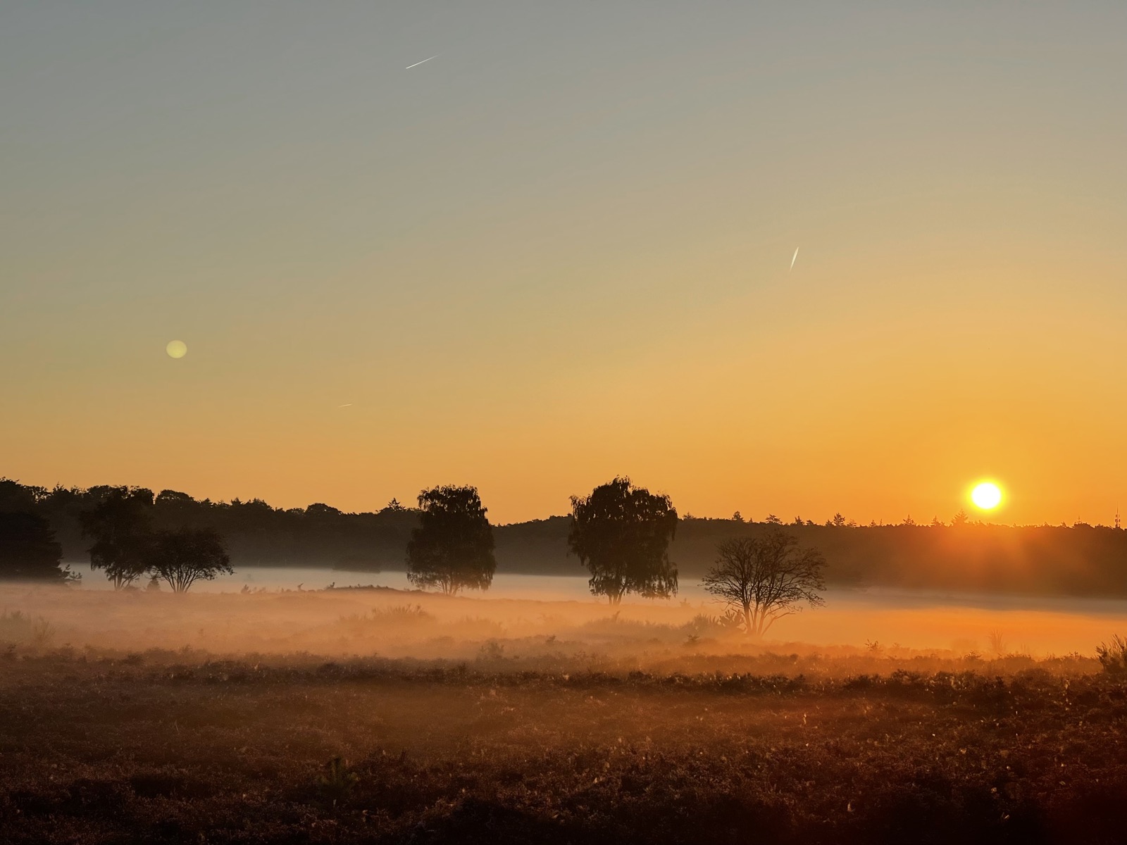 De hei bij zonsopgang, mist over het veld