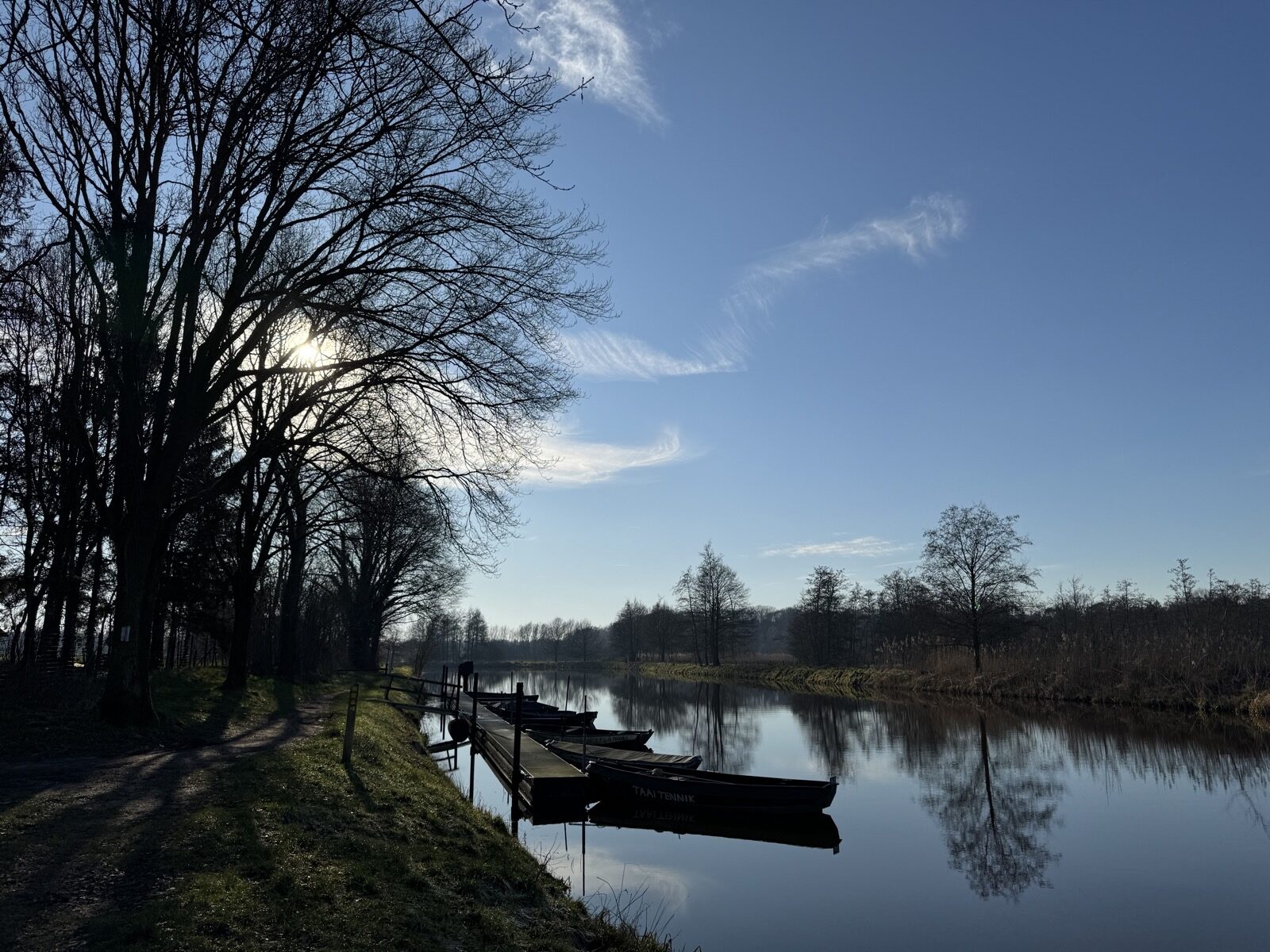 Kale bomen weerspiegeld in stil water